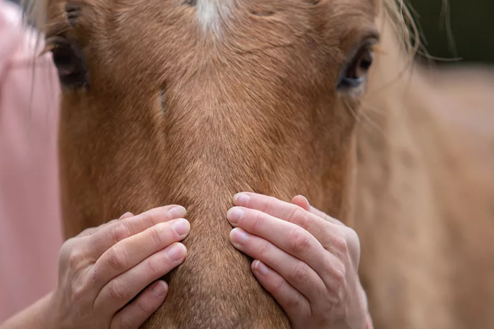 Craniosacrale Osteopathie