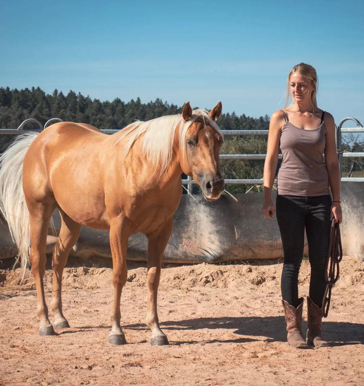 Natural Horsemanship Kurs