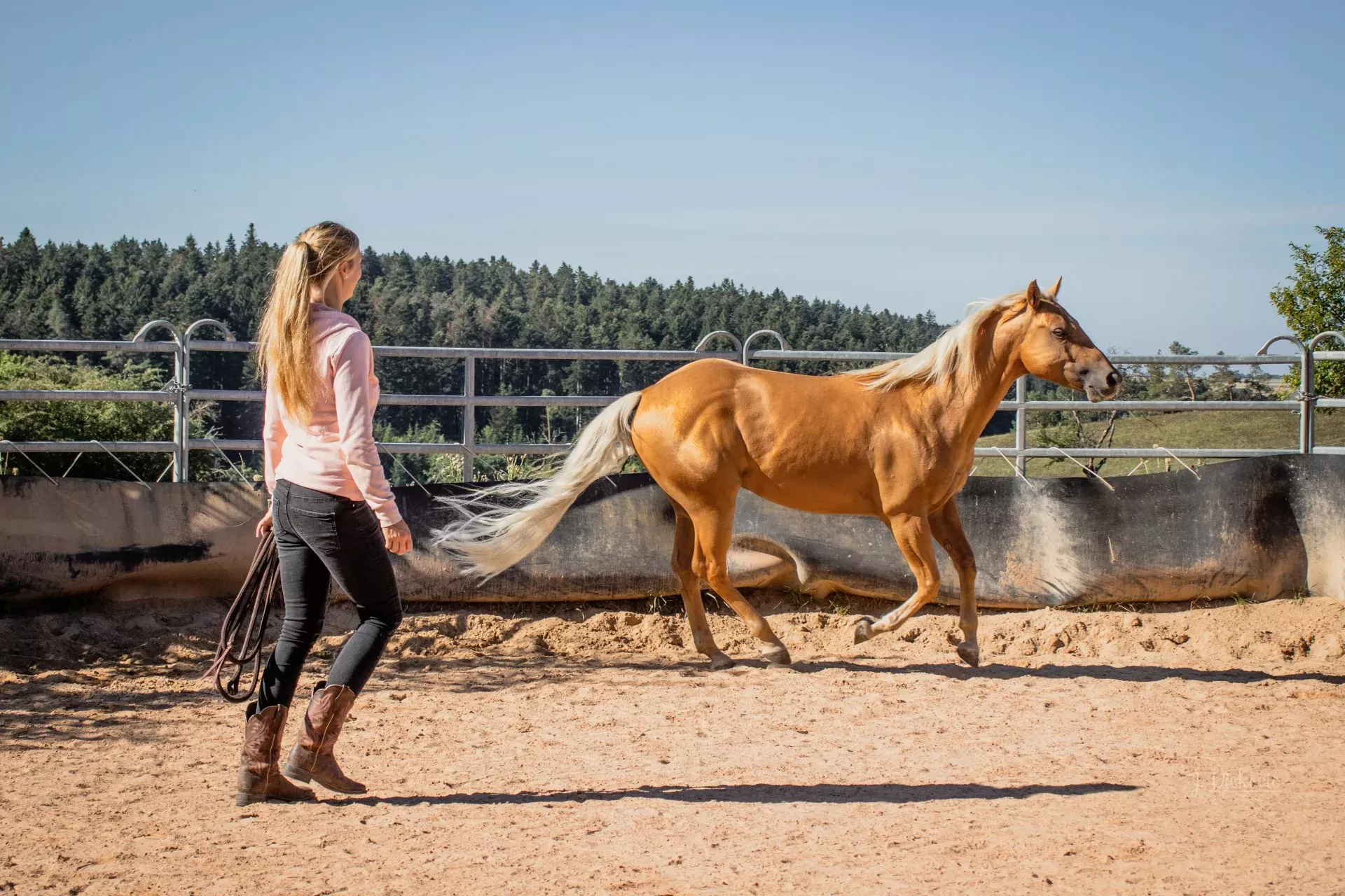 Natural Horsemanship