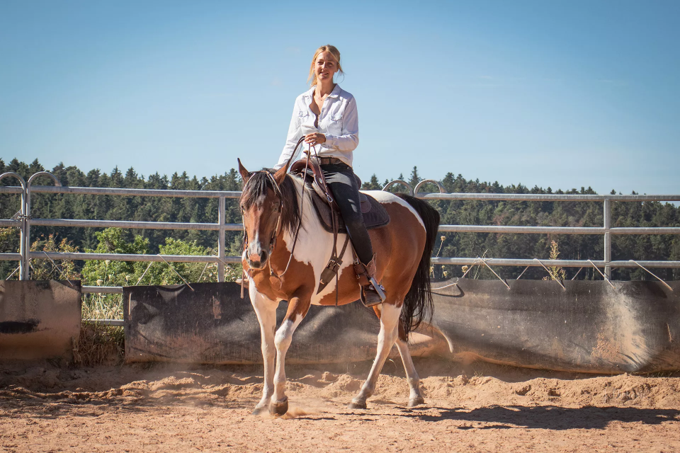 Reitunterricht und Pferdetraining